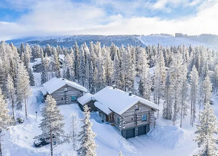 Levin Taiga - Log - Sauna, Free Pass, Near Levi Center 公寓